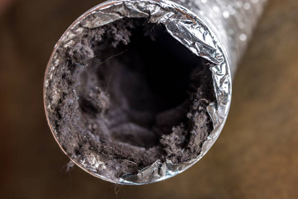 Best Ductwork Odor Removal in Lusk, WY